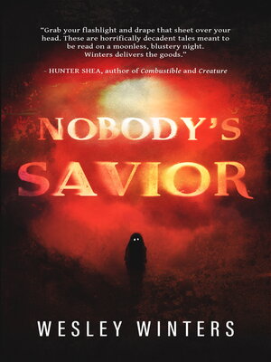 cover image of Nobody's Savior